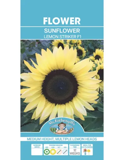 [5011775060460] Lemon Striker F1 Sunflower Seeds