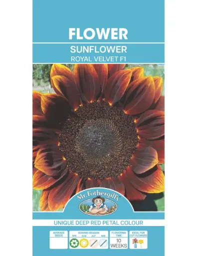 [5011775068947] Royal Velvet F1 Sunflower Seeds