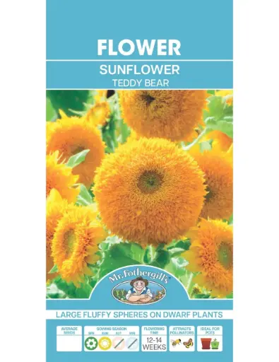 [5011775058290] Teddy Bear Sunflower Seeds