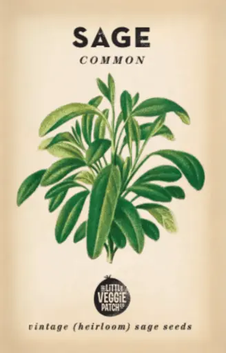 [691057072609] Heirloom Seeds - Sage 'Common'
