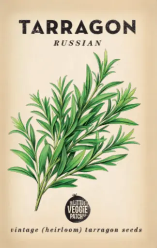 [691057072616] Heirloom Seeds - Tarragon 'Russian'