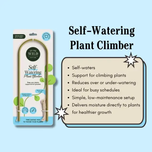 [F-SC01-01] Self-watering Plant Climber
