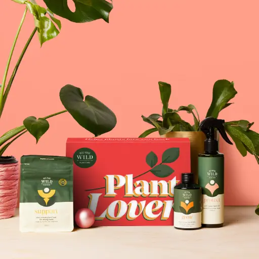 [F-EK15-01] Red Plant Lover Giftbox Essential Kit