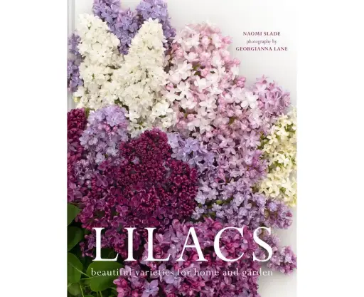 [97871911663966] Lilacs: Beautiful Varieties for Home and Garden